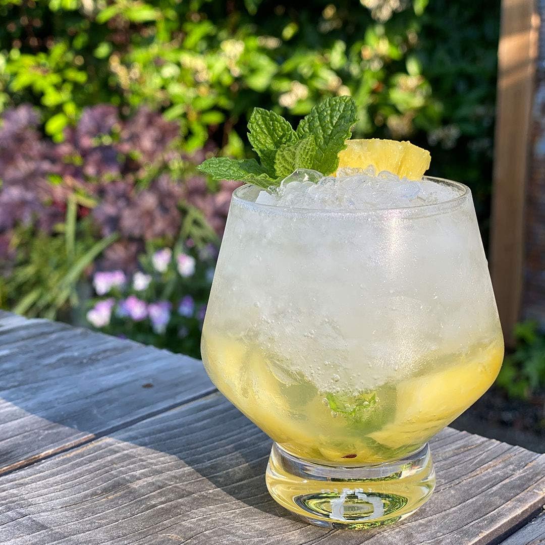 Viski Raye punch cup with a mint cocktail on a garden table