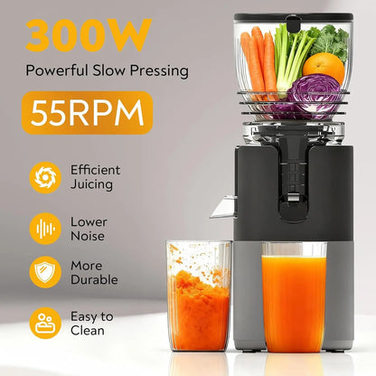 300W cold press juicer features: 55RPM slow pressing, efficient juicing, low noise, and easy cleaning